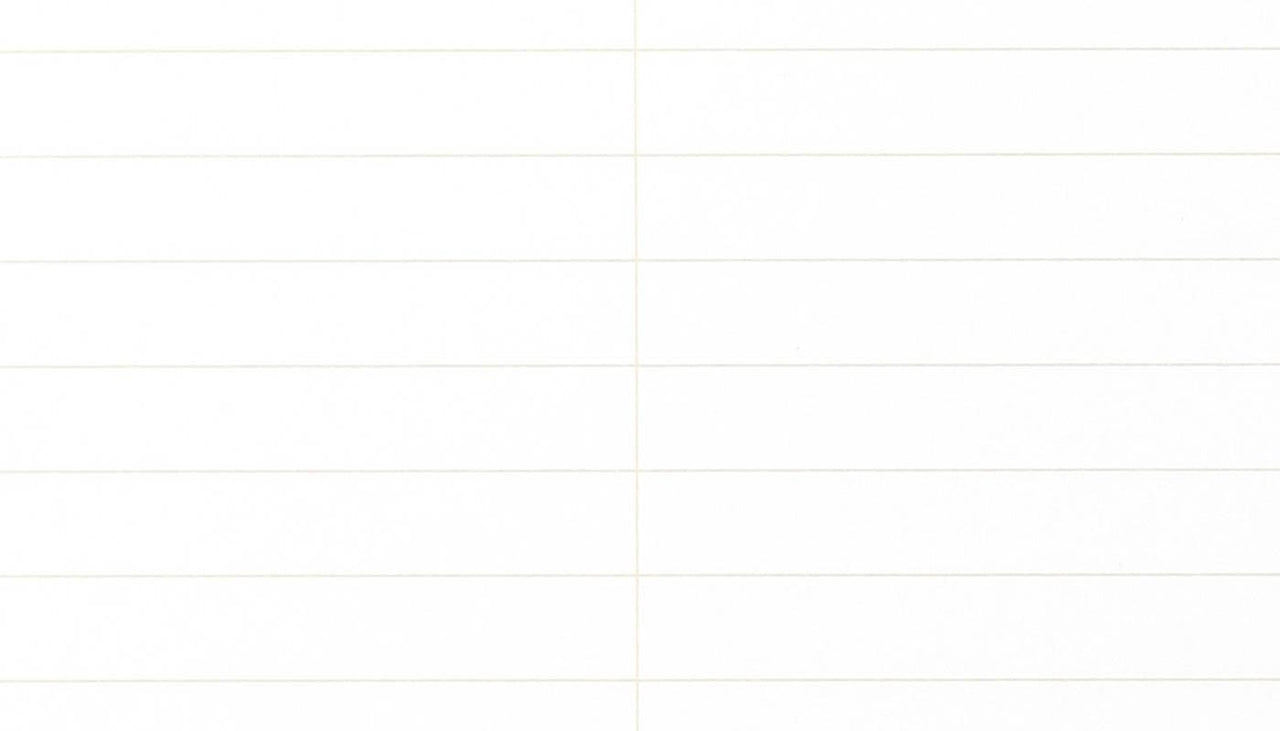 Field  Notes 80 Page Steno Book